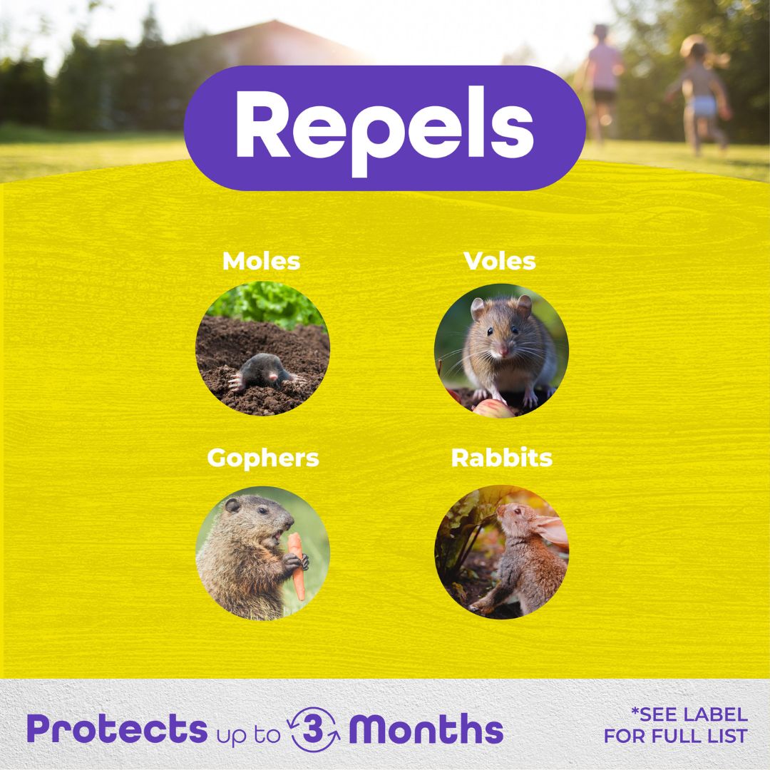 MoleMax Mole & Vole Repellent Granules – Bonide – 5 lb